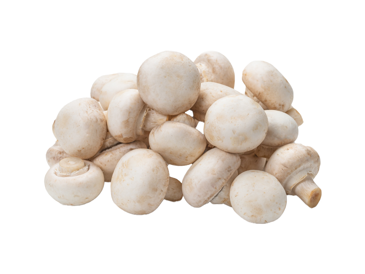 Hrpa svježih bijelih šampinjona.