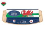 12 large Woodcote free range Welsh eggs, RSPCA assured.