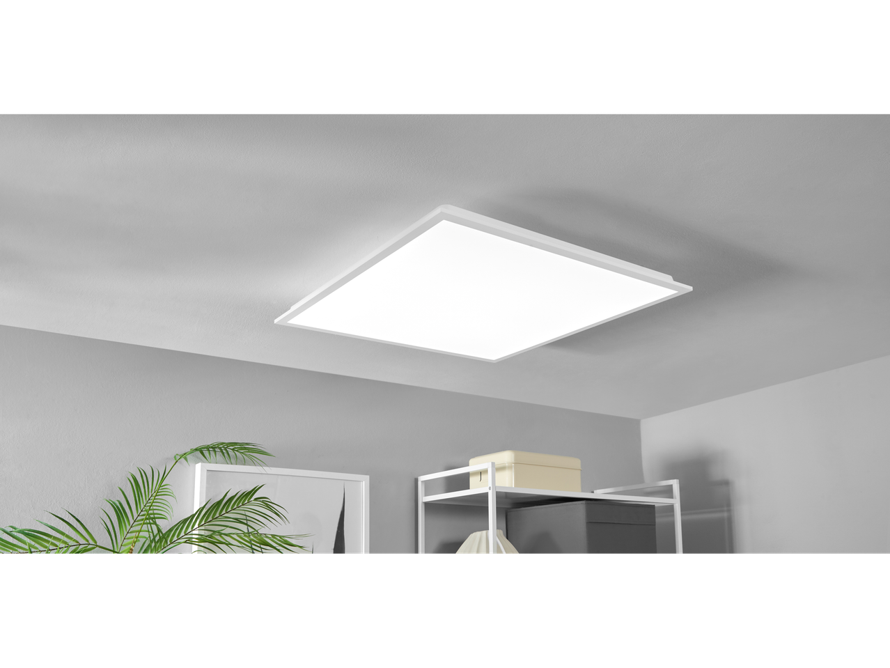 LED panel LIVARNO home osvetljuje sobo s policami in rastlino.
