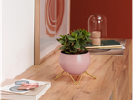 Vaso de flores rosa com pés dourados sobre uma cômoda de madeira.