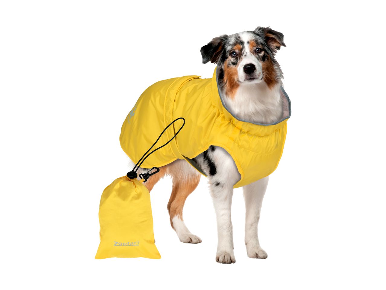 En Australian Shepherd i en gul Zooafari regnjakke med matchende opbevaringstaske.