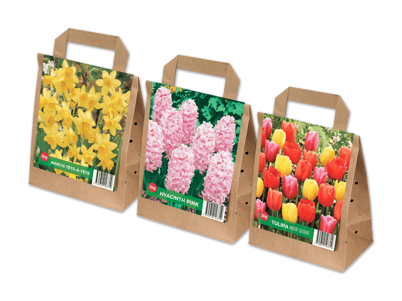 Drei braune Papiertüten mit Blumenzwiebeln: Narzissen, Hyazinthen und Tulpen.