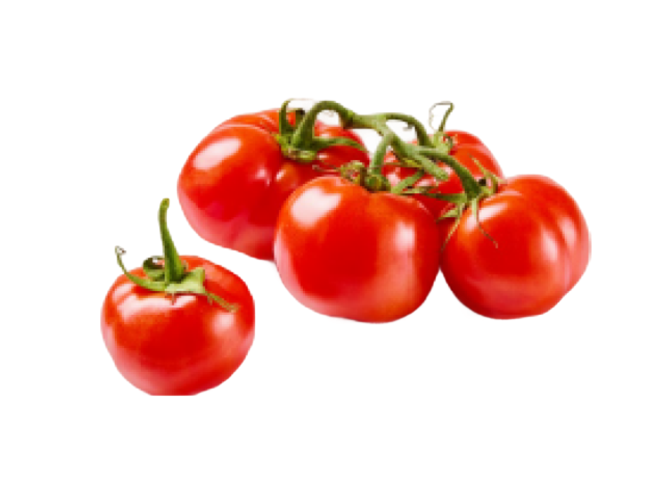 Tomates vermelhos frescos em cacho e um tomate solto.
