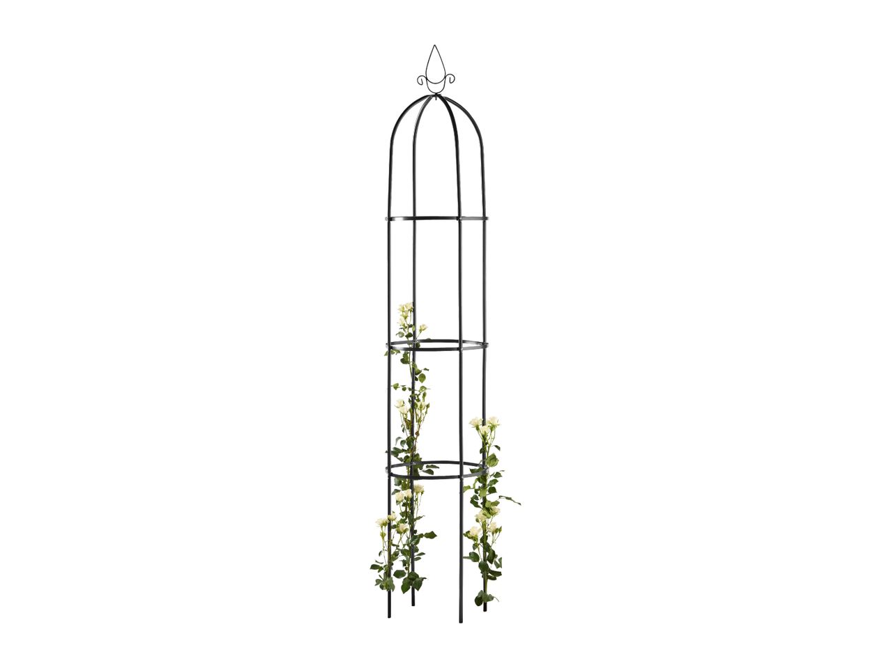 Garden Obelisk
