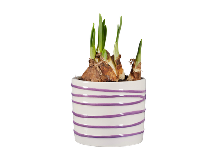 Nárcisz kerámiában*