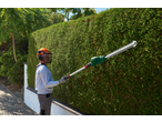 Man in protective gear trimming a hedge with a long-reach hedge trimmer.