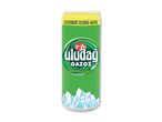 Grøn sodavandsdåse med hvidt logo og tekst, der siger 'Legendary Uludağ Gazoz'.