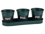 Tre vasi da erbe aromatiche verdi con etichette per menta, basilico e salvia su un vassoio.