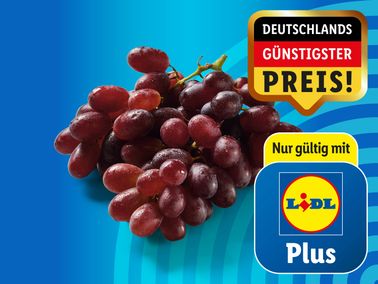 Dunkle, kernlose Trauben
