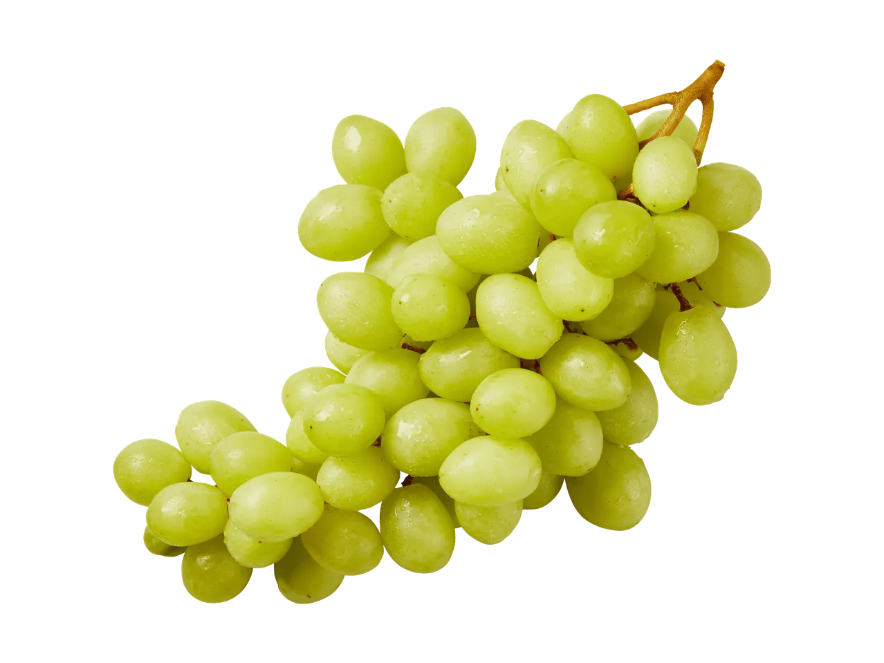 Ein Bund frischer, grüner Weintrauben mit Wassertropfen auf weißem Hintergrund.