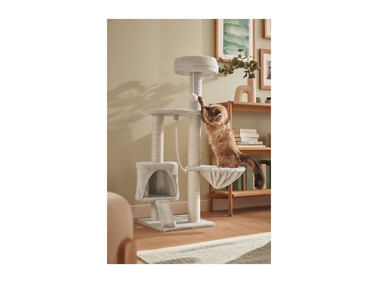 A fluffy brown cat playing on a multi-level cat tree with scratching posts and a hanging toy.