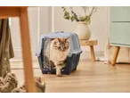 Zoofari cat carrier with a fluffy cat stepping out onto a wooden floor.