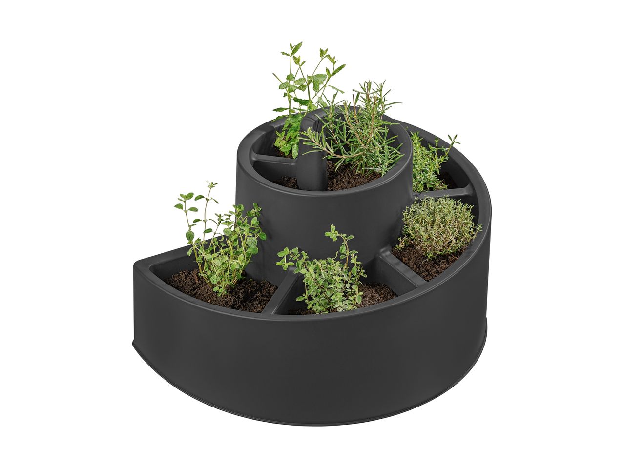 Mørkegrå spiralformet urtepotte med forskellige grønne urter.