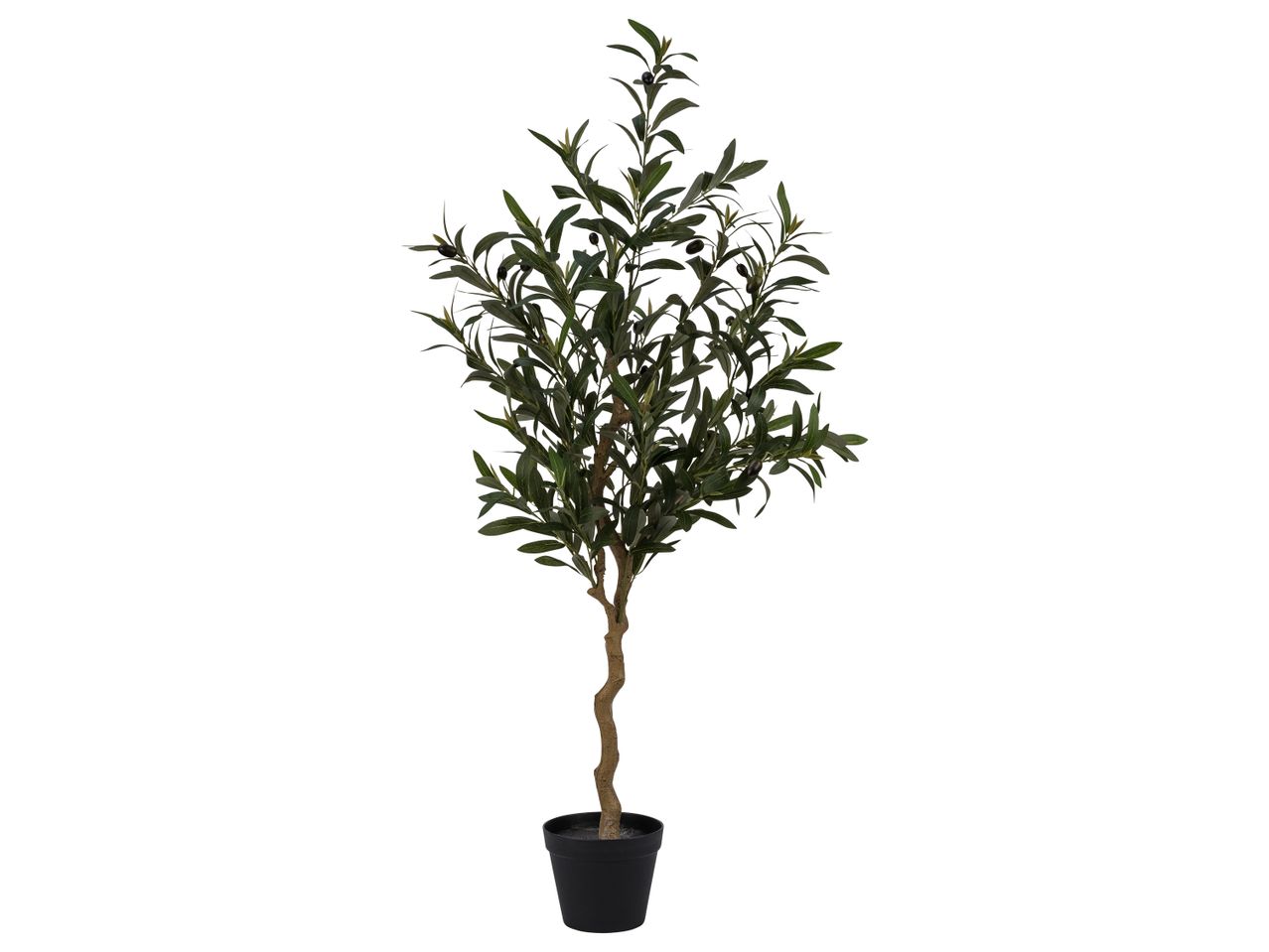 Artificial olive tree with black olives in a black pot.