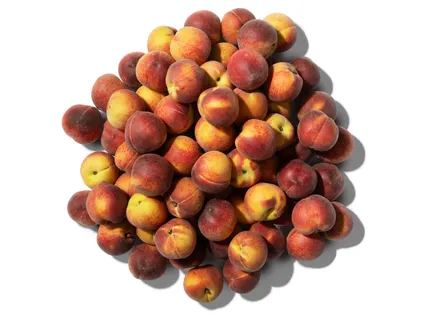 Őszibarack