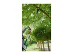 Person using a long-reach pole pruner to trim branches from a tree.