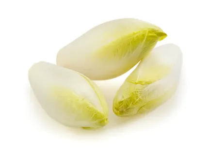 Witloof