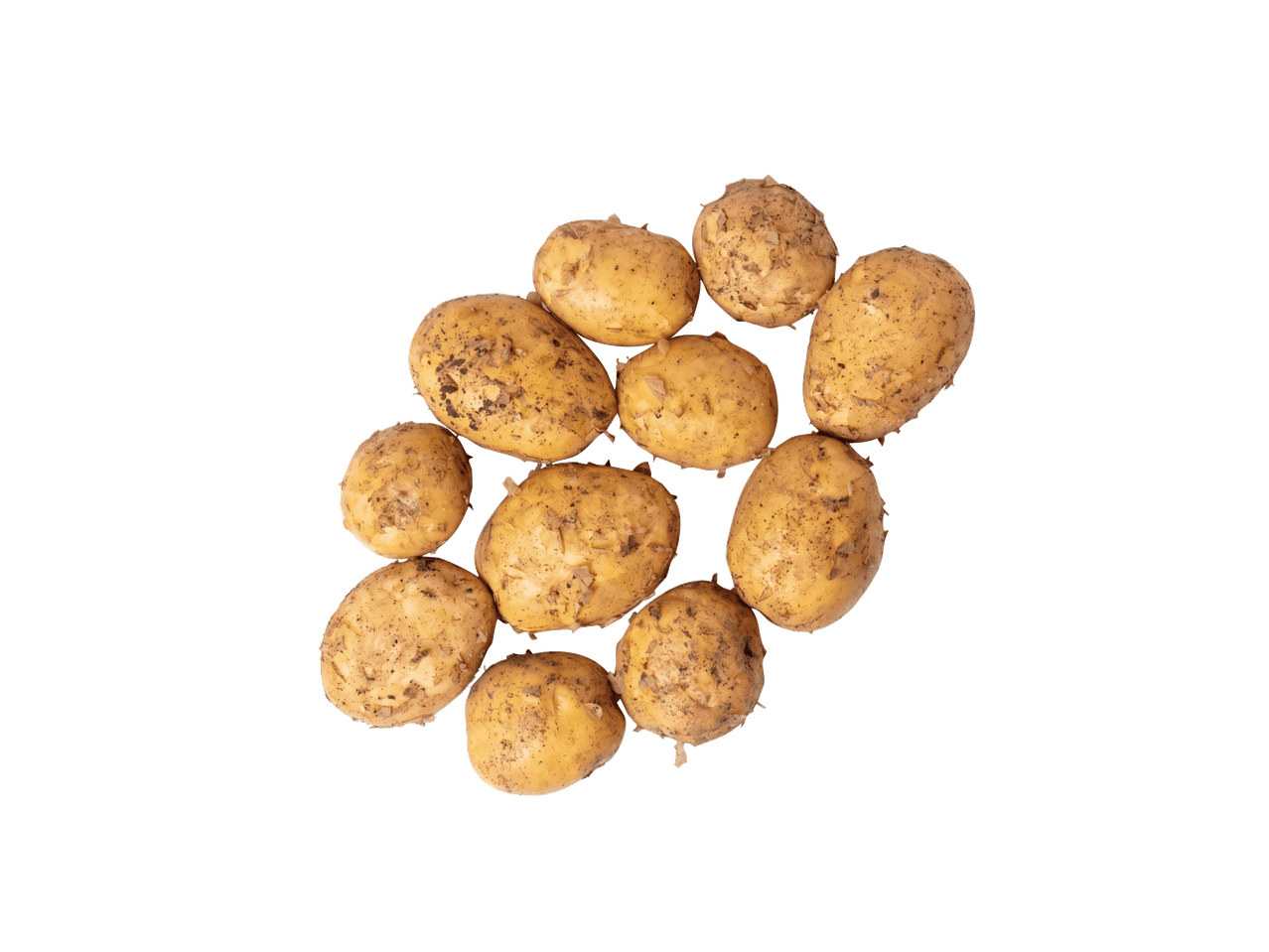 Kuhjas värskelt korjatud kartulid mullajääkidega valgel taustal.