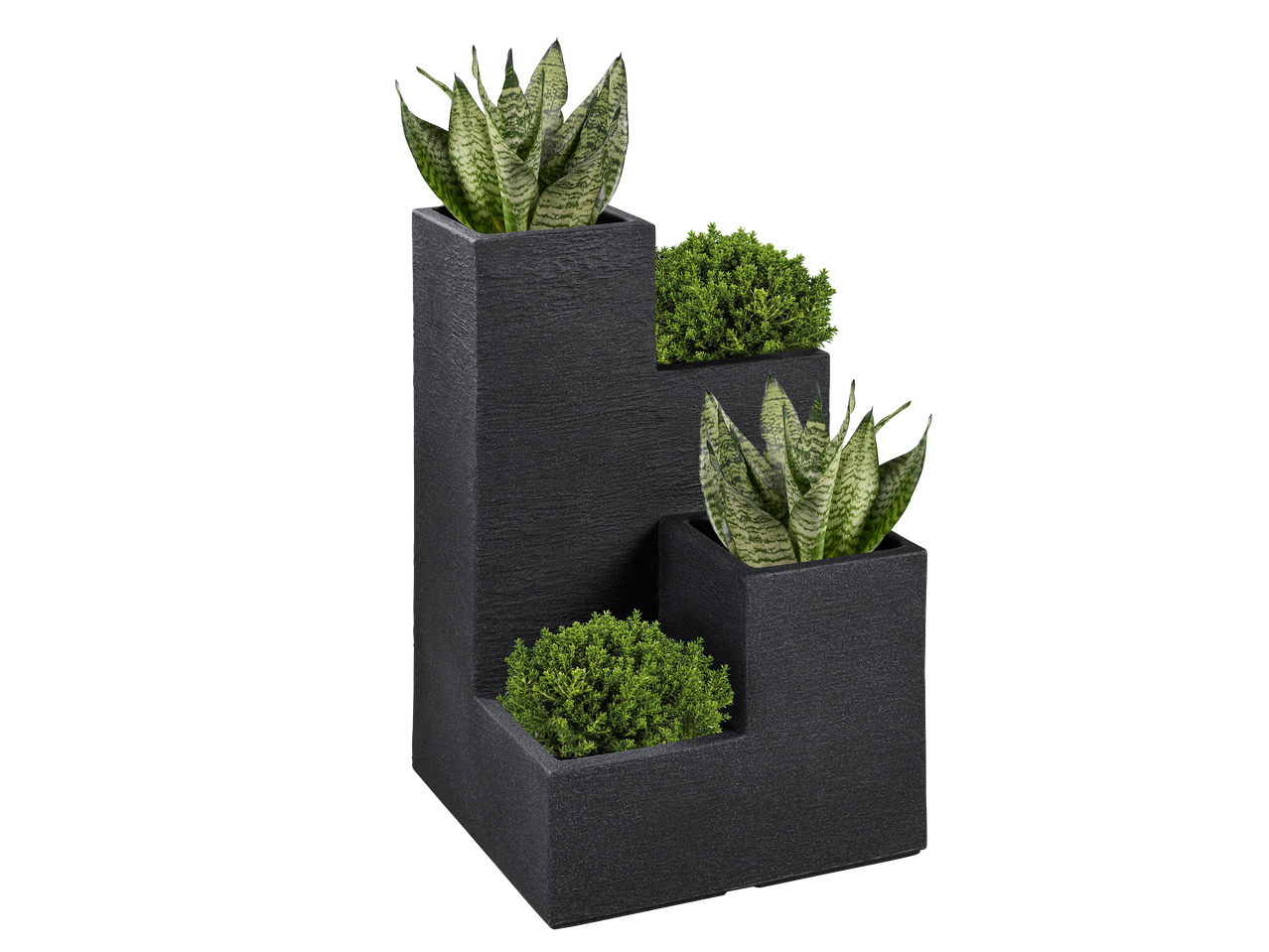 Lépcsőzetes, sötétszürke virágtartó kígyónövénnyel és zöld bokrokkal.