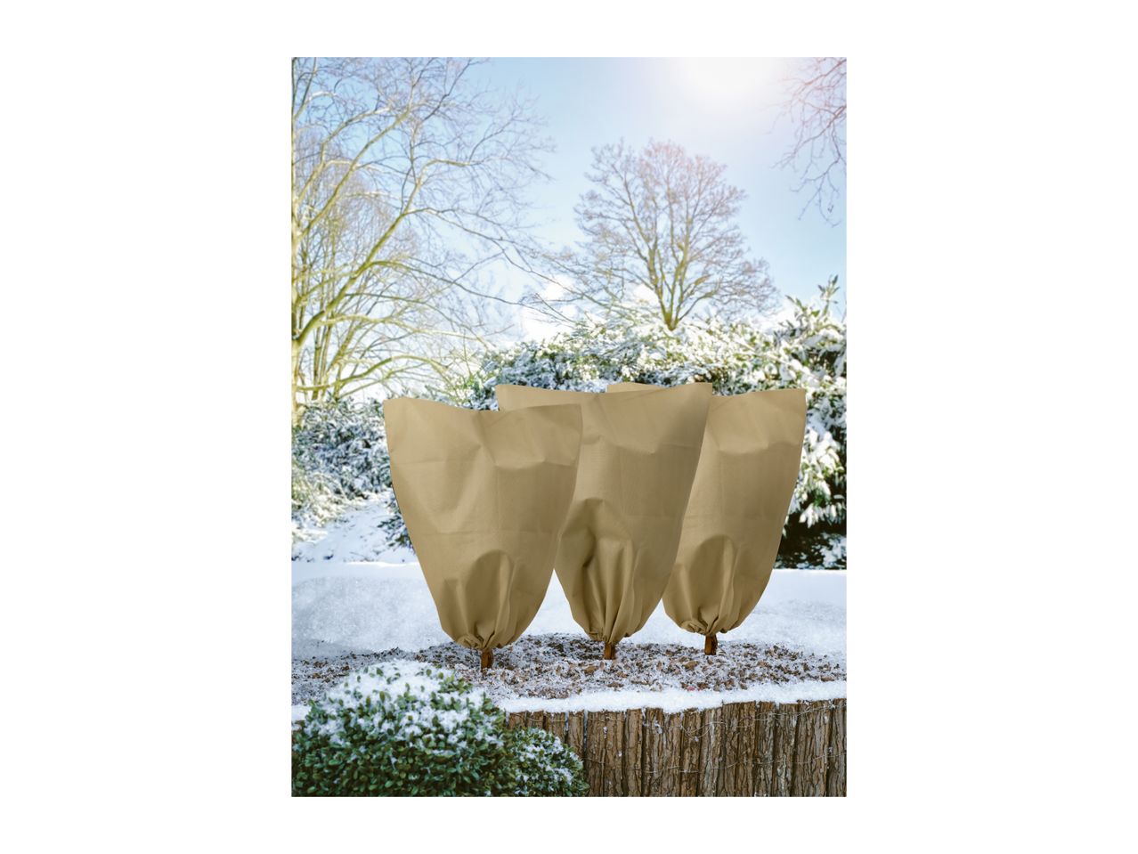 Three beige winter protection covers on small trees in a snowy garden.