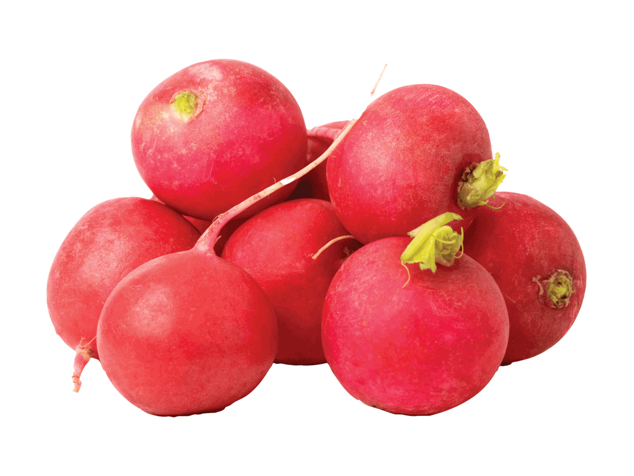 Krūva ryškiai raudonų ridikėlių su šviežiais žaliais lapeliais ir šaknimis.