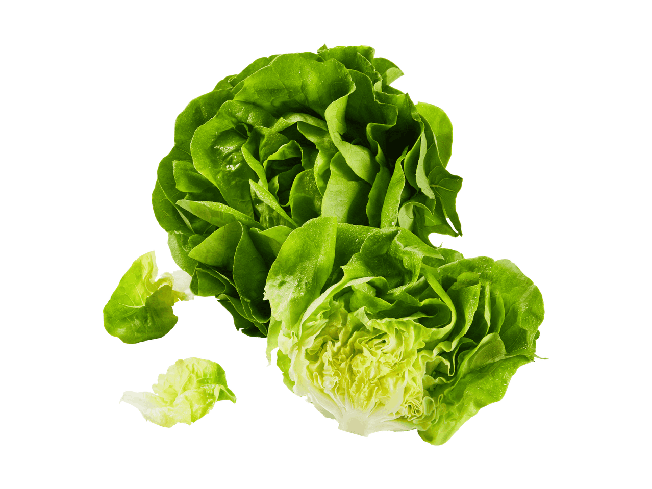 Zwei frische grüne Salate mit Wassertropfen auf schwarzem Hintergrund.