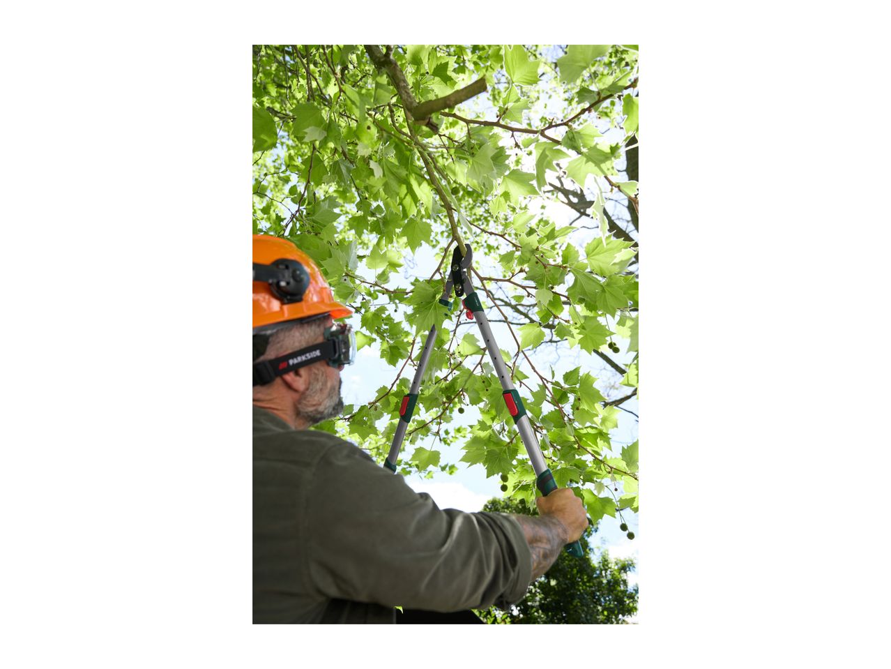 Man in safety gear pruning a tree with long-handled loppers.