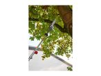 Long-reach pole saw trimming tree branches with green and yellow leaves.