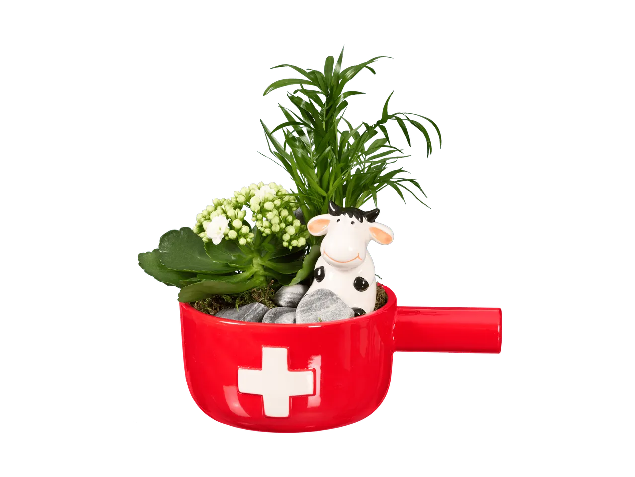 Plante d'intérieur dans un pot rouge avec une croix suisse et une figurine de vache.