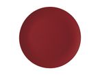 A solid red oval shape on a white background.