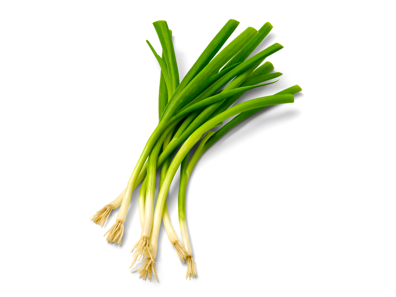 Bos verse groene lente-uitjes.