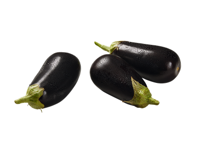 Aubergine