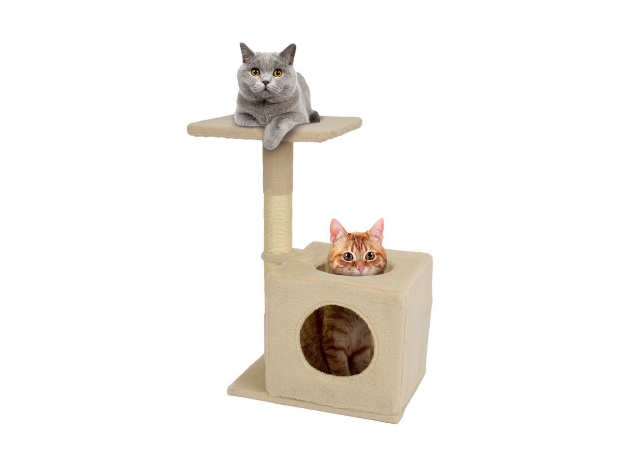 Two cats on a beige cat tree, one on top and one peeking from inside the cubby.