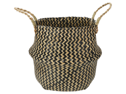 Tengerifű díszkosár