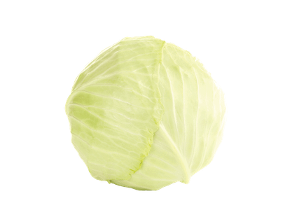 Baltagūžis kopūstas