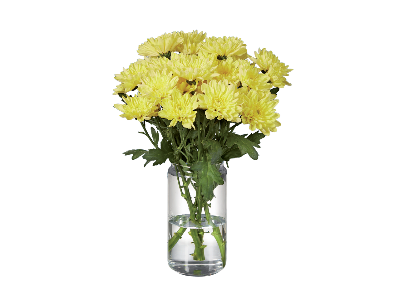 Un buchet de crizanteme galbene într-o vază de sticlă transparentă.