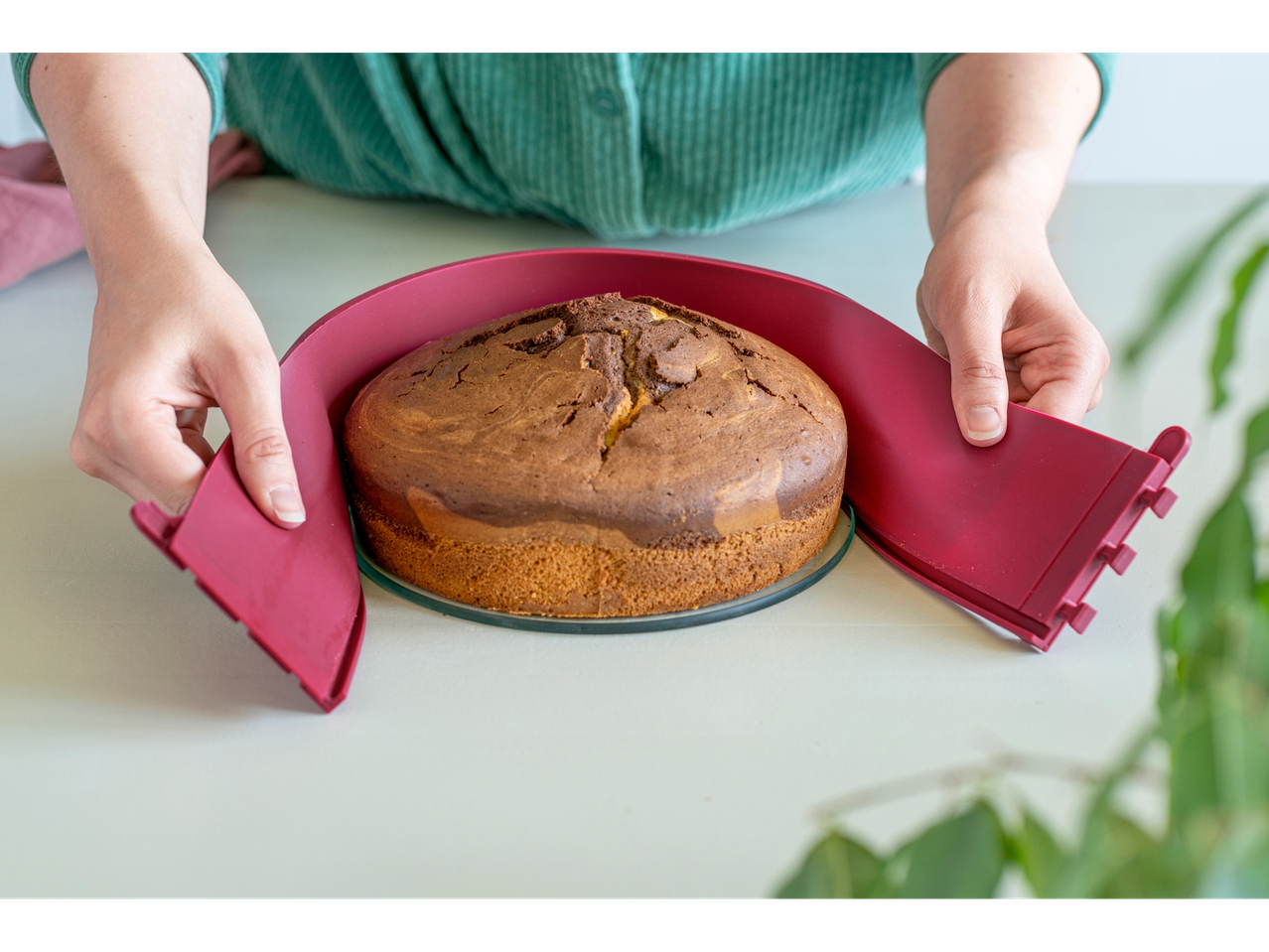 Hände halten eine Coox Springform mit Glasplatte um einen frisch gebackenen Kuchen.