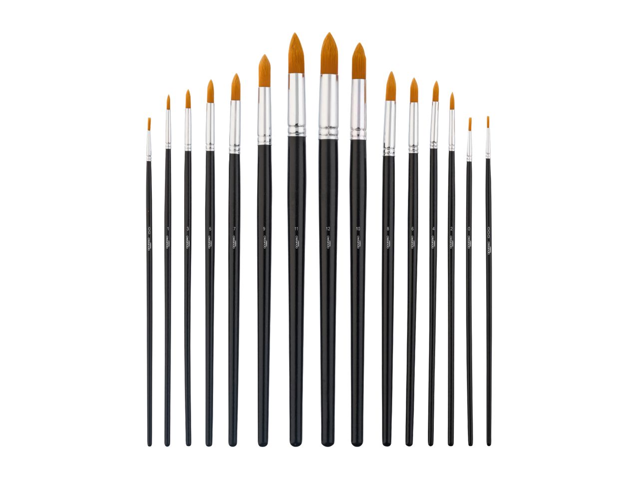A set of 15 round paintbrushes of varying sizes, arranged in an arc shape.