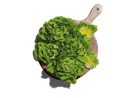 Fejessaláta gyökérrel