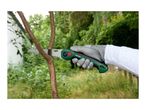 Hand in a protective glove using a folding saw to prune a tree branch in a garden.