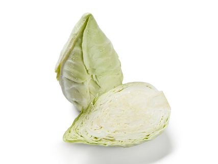 Spitzkohl