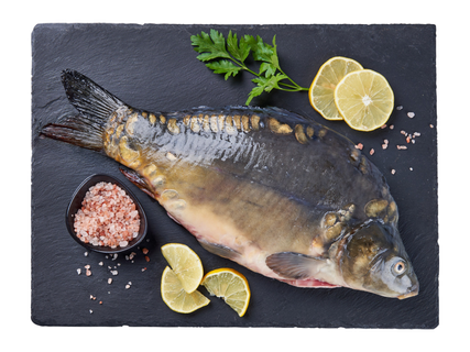 Salas Zivis Spoguļkarpa ar galvu 1.5kg