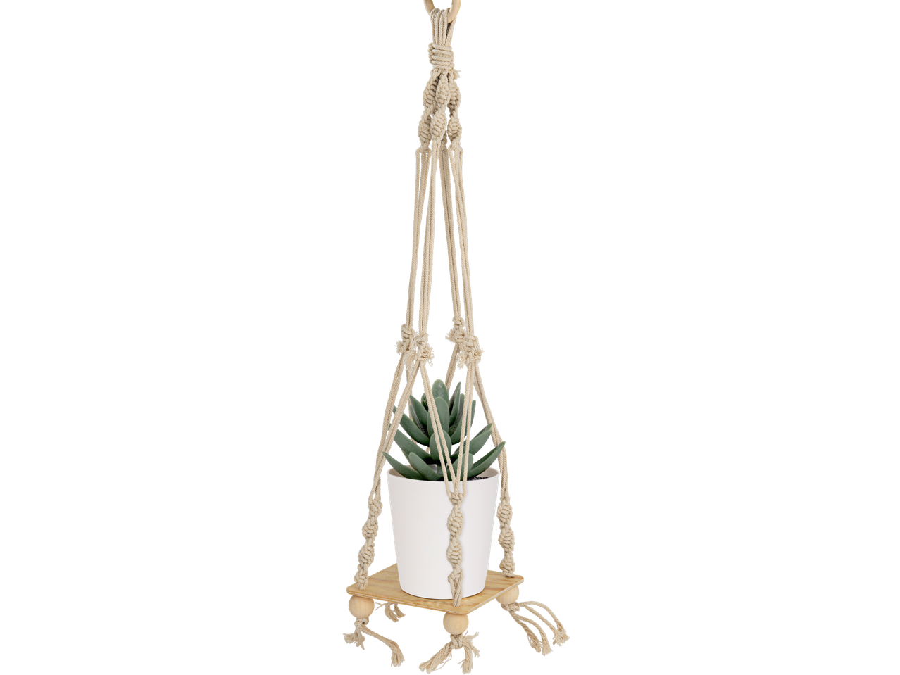Suporte de macramé para plantas com vaso branco e suculenta verde, em fundo preto.