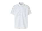 A white short-sleeved dress shirt.