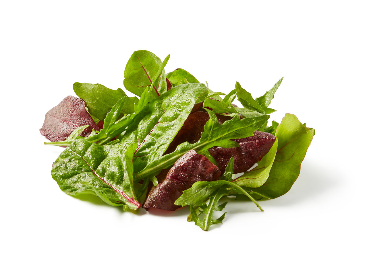 Микс от свежи зелени салати и червено цвекло на бял фон.