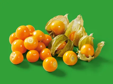 Physalis