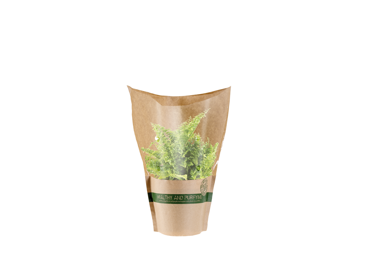 O plantă de ferigă într-o pungă de hârtie maro.