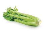 Fresh celery: green stalks and crisp leaves.