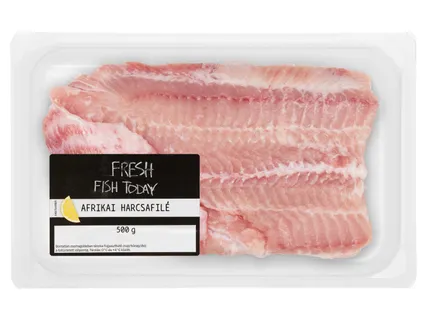 Friss afrikai harcsafilé
