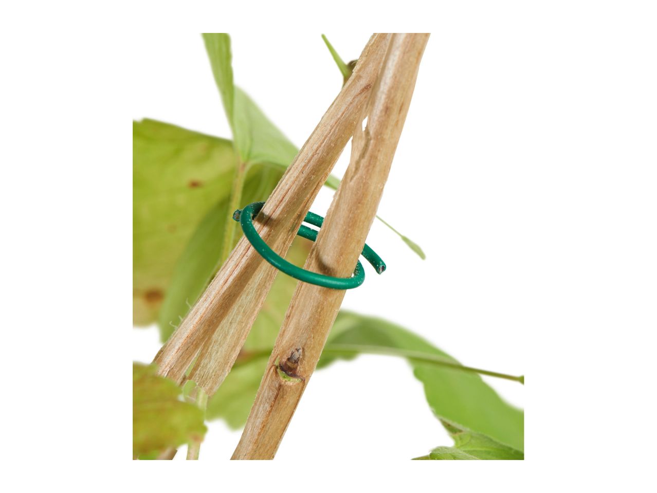 Go to full screen view: Parkside Growing Accessories Assortment - Image 20